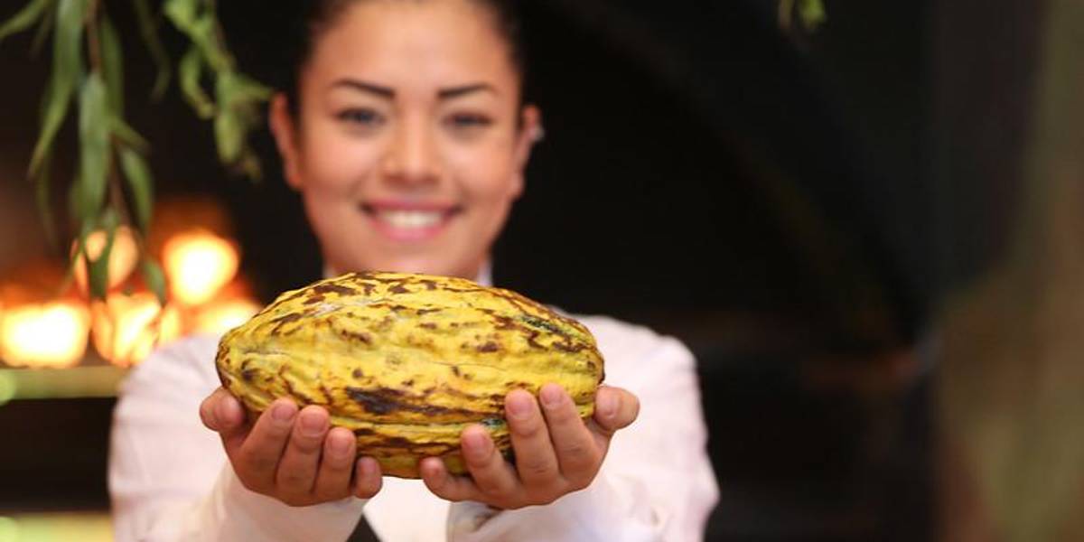 Ecuador fue el primer lugar del planeta en el que los humanos utilizaron el cacao, según estudios