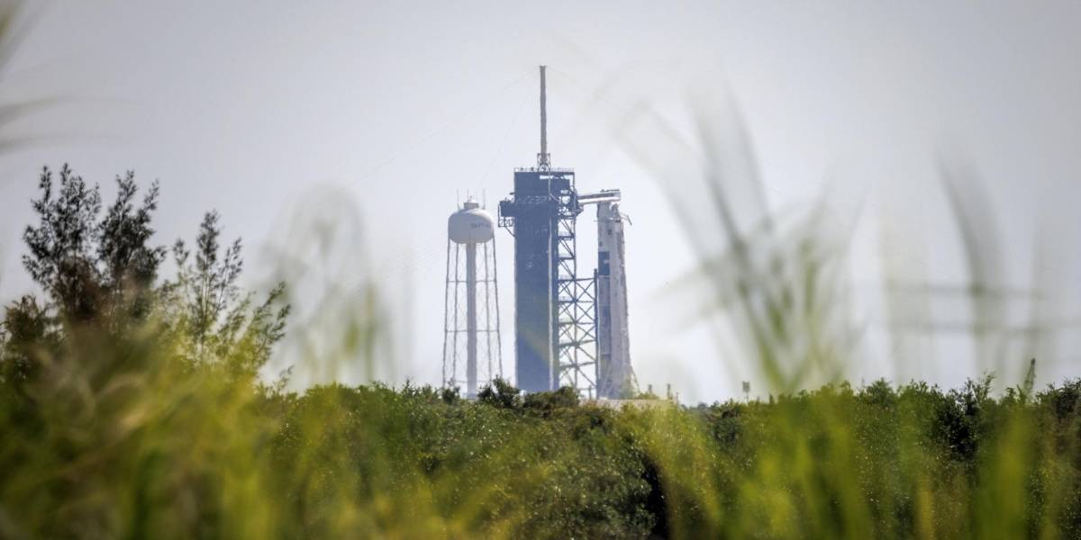 La misión Crew-11 de la NASA y SpaceX despega con cuatro tripulantes a la EEI