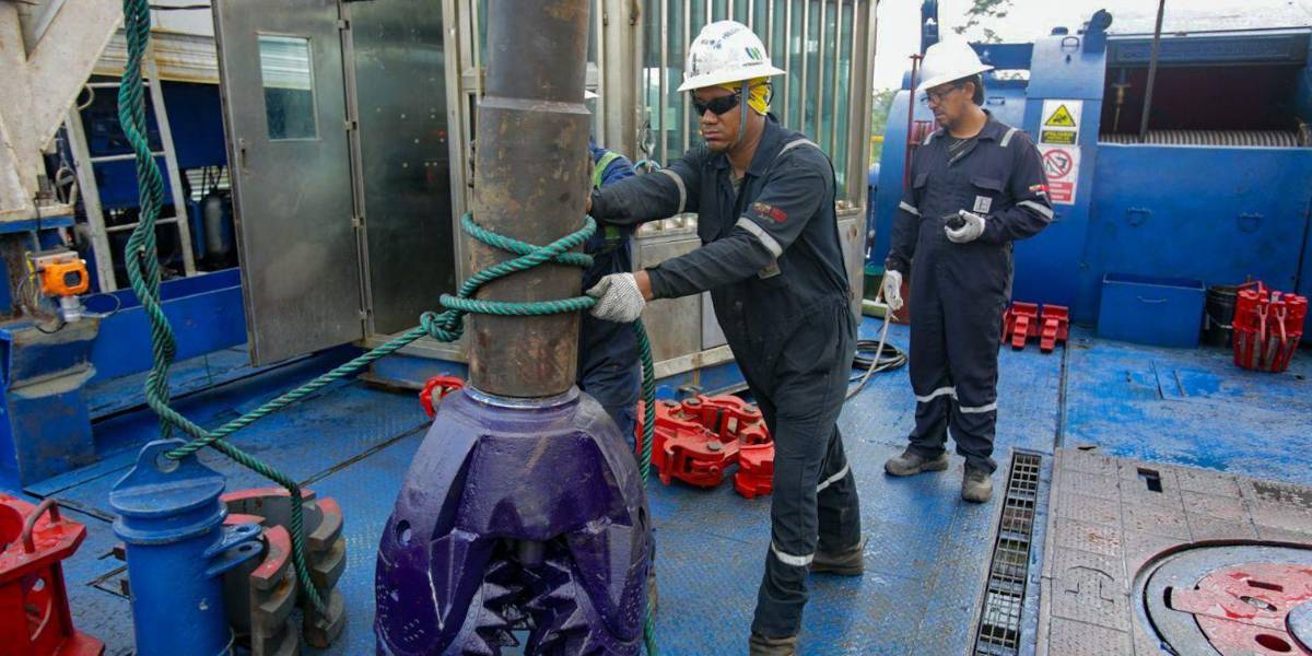 El Gobierno confirmó la adjudicación del campo Sacha a consorcio chino-canadiense