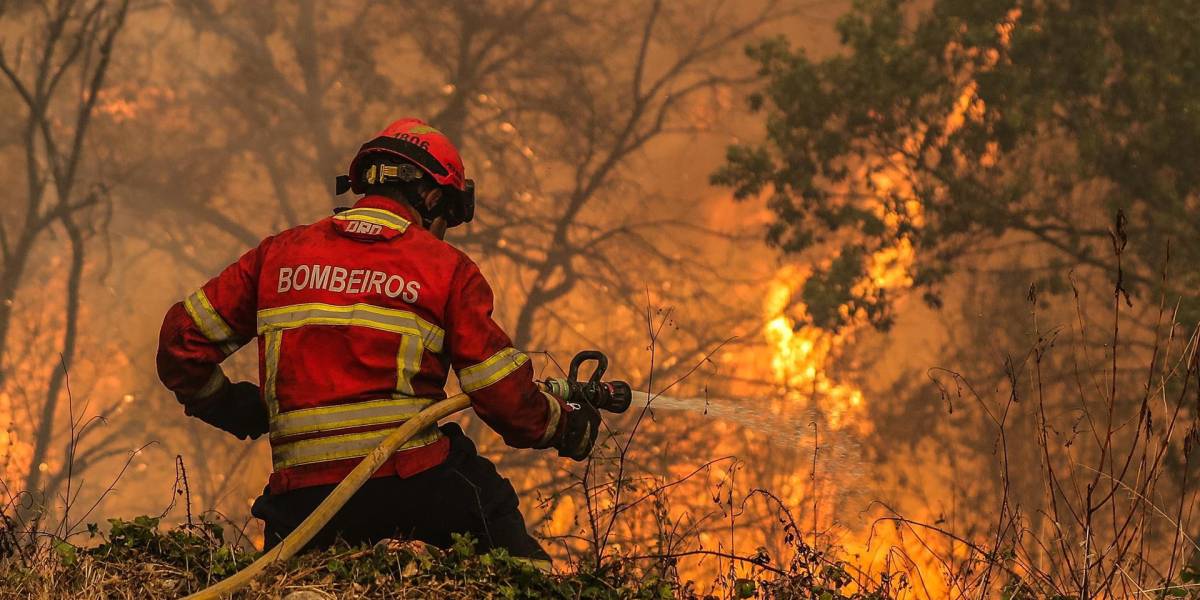Alerta en Portugal por los fuertes incendios