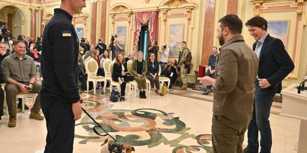Perro ucraniano recibió condecoración por detectar explosivos durante la guerra