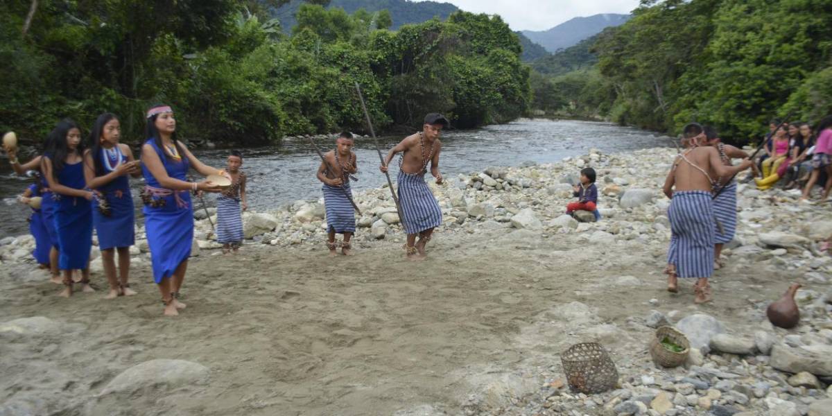 Tiwi Nunka, la primera reserva natural de los indígenas shuar en Ecuador