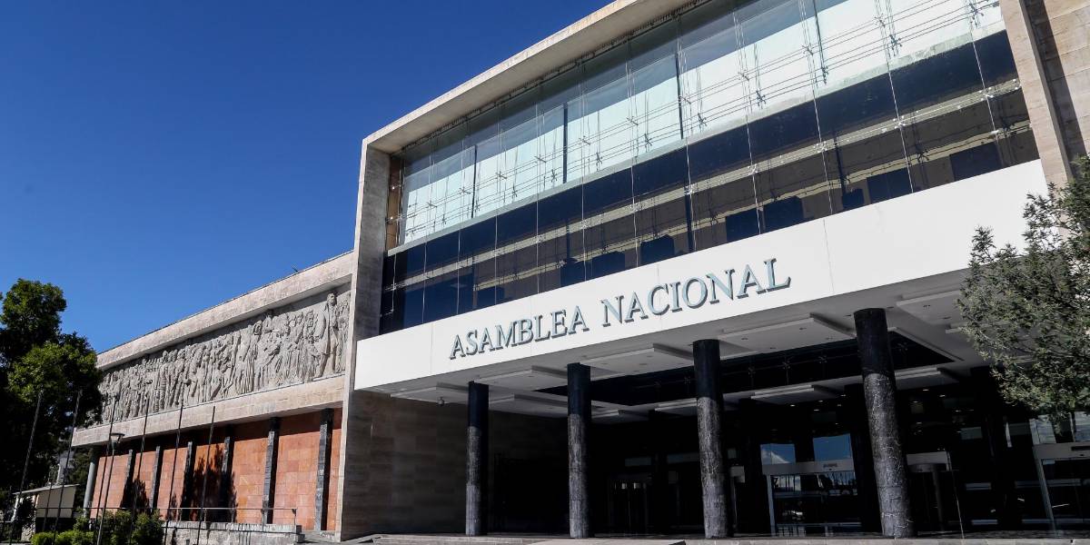 La Asamblea Nacional dará trámite a la renuncia de la fiscal Diana Salazar