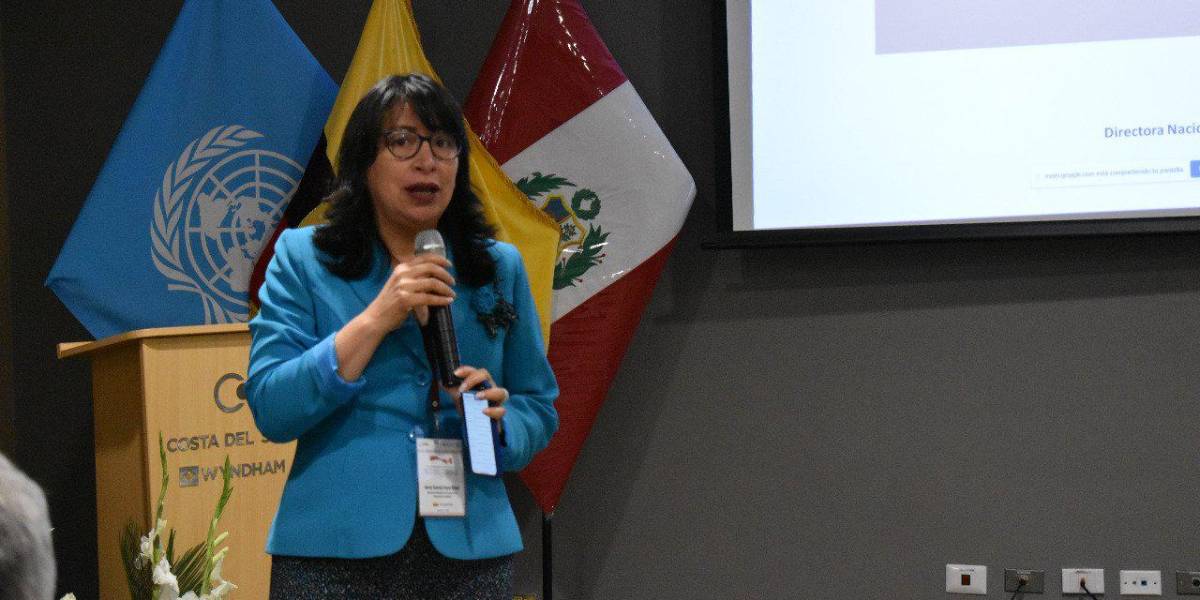 Solanda Goyes reemplazará a Xavier Muñoz en el Consejo de la Judicatura