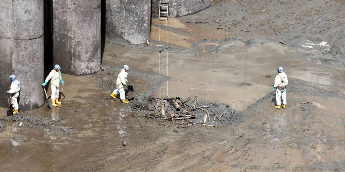 Las labores de mantenimiento terminaron en Coca Codo Sinclair