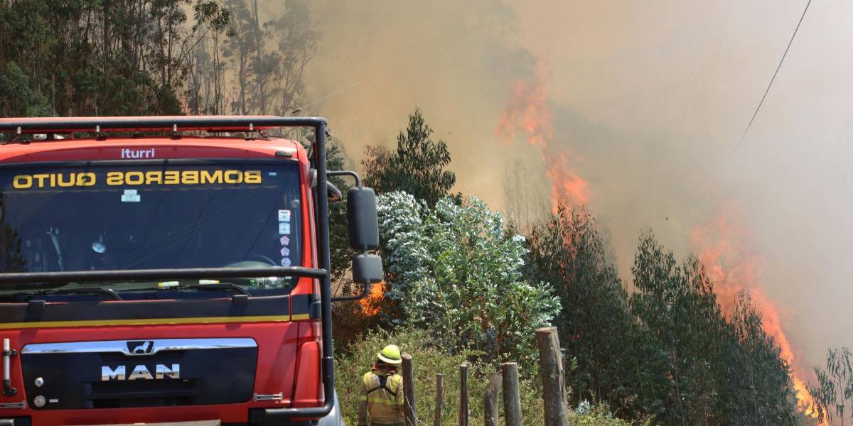 Los incendios forestales arrasan con más de 38 000 hectáreas en Ecuador hasta el 26 de septiembre