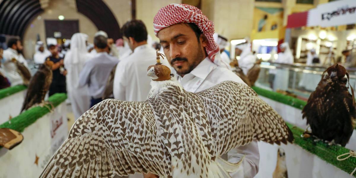 Animales ancestrales en Catar y dónde encontrarlos
