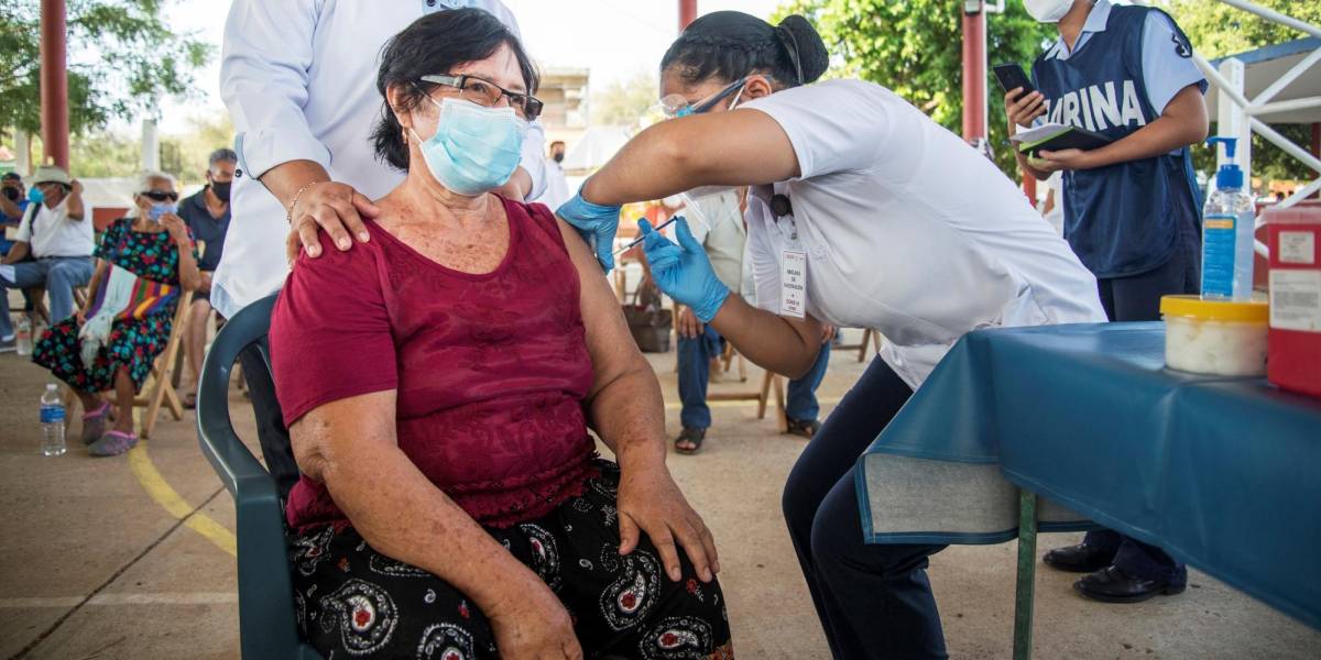 Cerca de 6 millones de personas están completamente inmunizadas contra el COVID-19 en Ecuador
