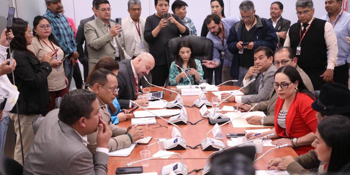 Comisión de Fiscalización acorta el camino para el juicio político a la fiscal Diana Salazar