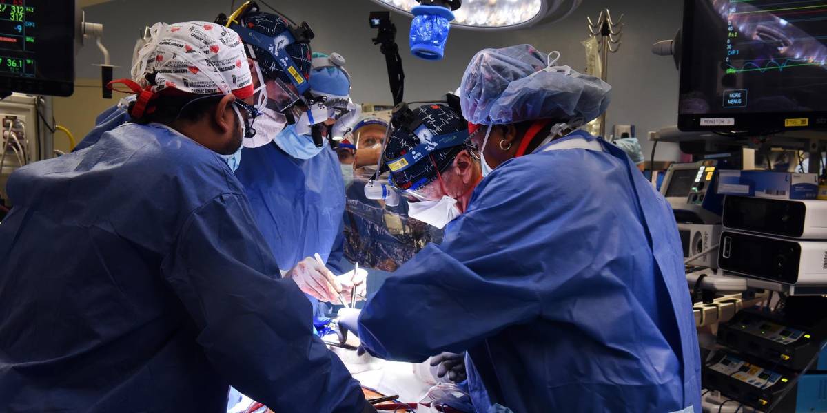 Muere paciente que recibió trasplante de corazón de cerdo