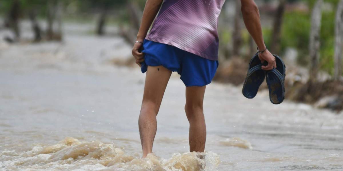 Leptospirosis en Ecuador: 39 casos se han reportado en Ecuador hasta finales de febrero