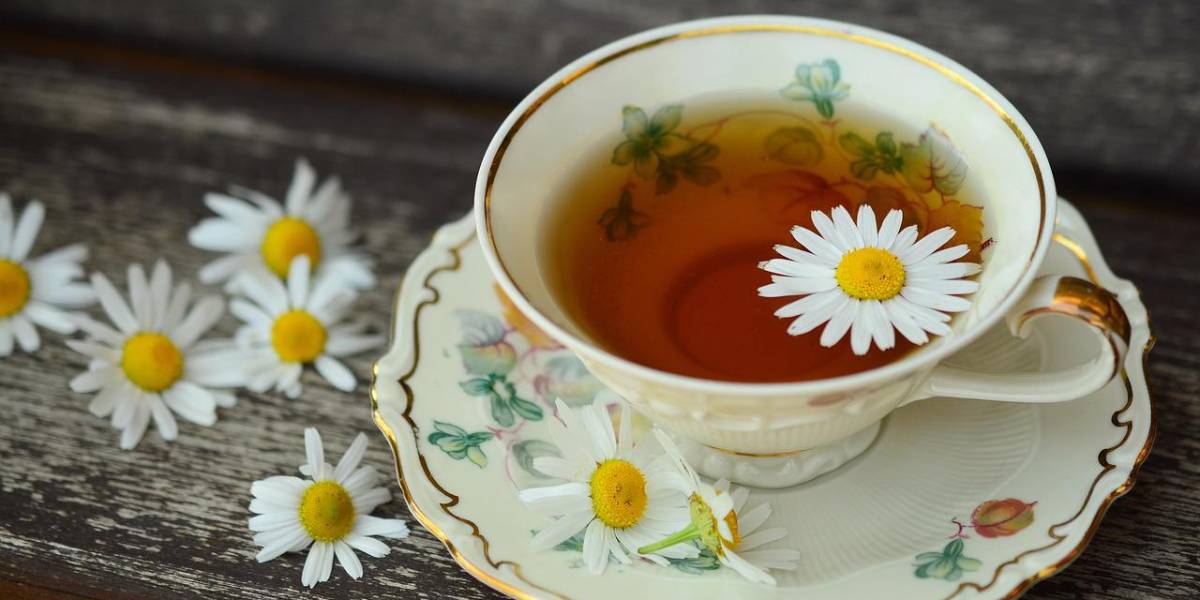 Este jugo es ideal para eliminar toxinas y perder peso