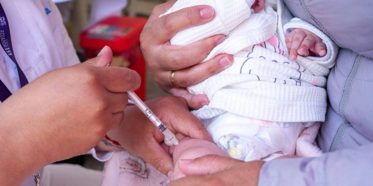 En Quito comenzó la vacunación hexavalente que se incorporó al Esquema Regular