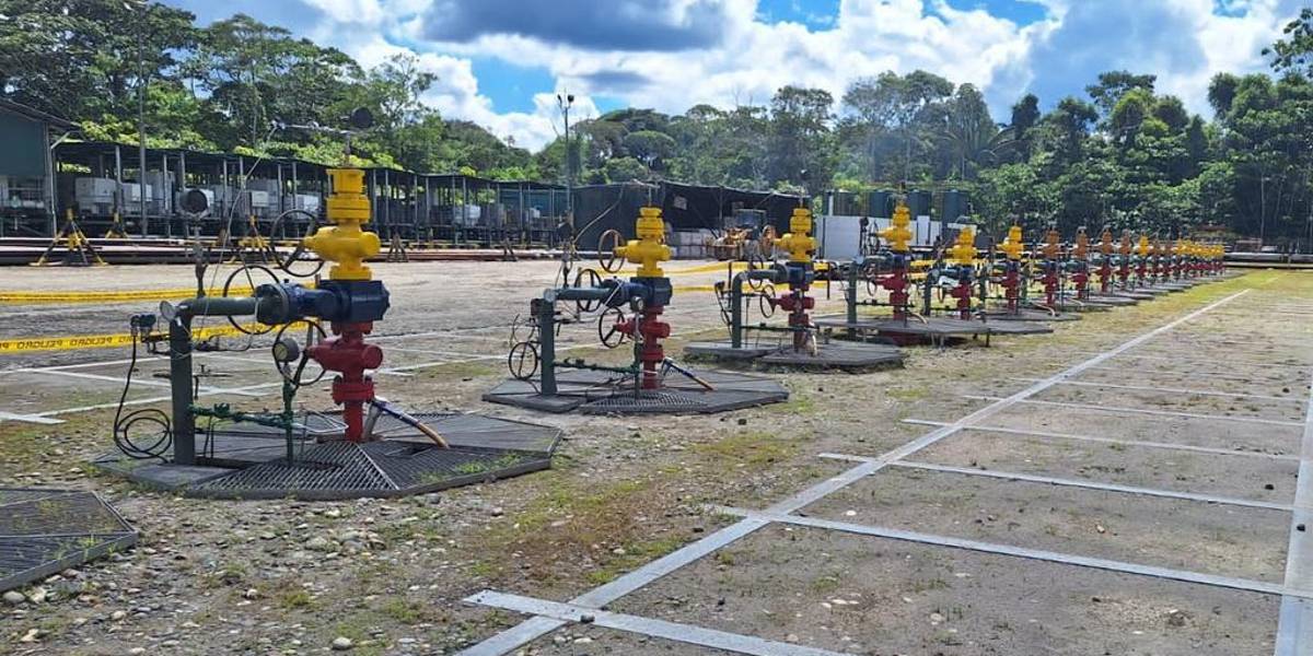 Elecciones Ecuador 2023: el bloque 43 del Yasuní generó USD 4 224 millones de renta petrolera en ocho años