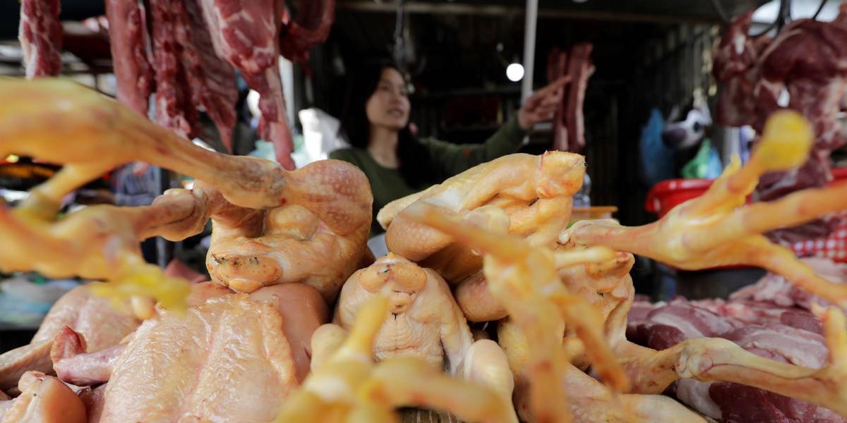 China detecta el primer caso mundial de gripe aviar H10N3 en humanos