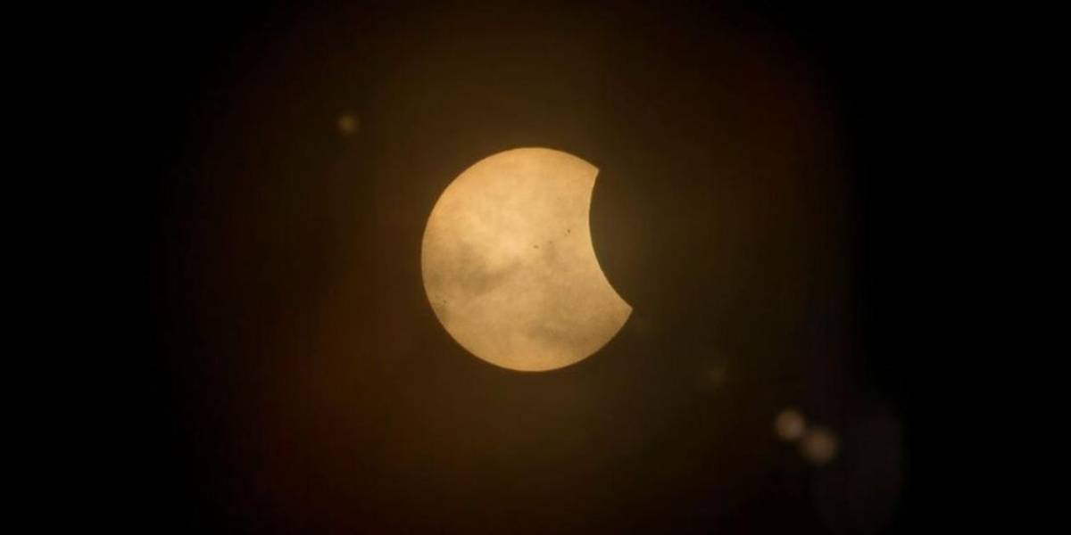 ¿Cómo un eclipse solar afecta el comportamiento de los animales?