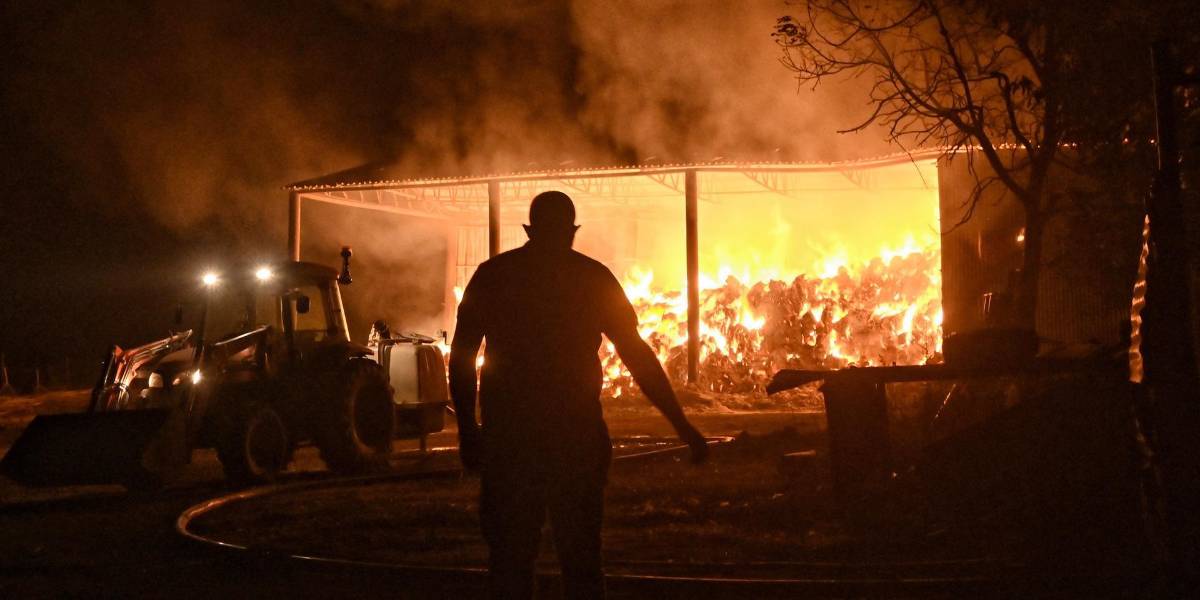 Grecia: Continúa la lucha contra una decena de incendios en todo el territorio