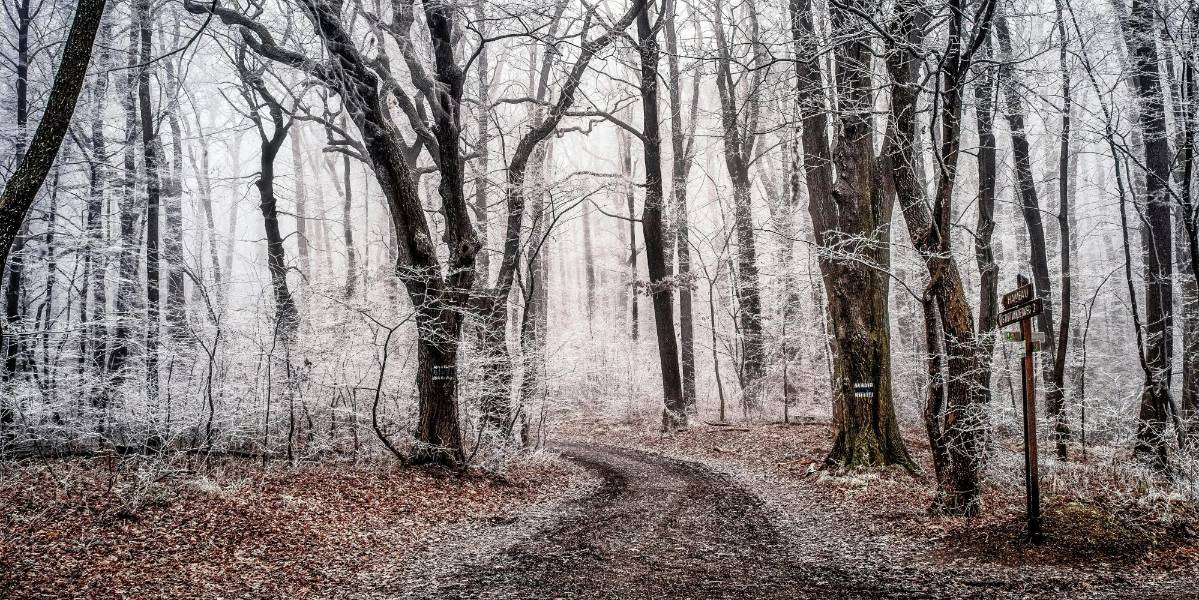 Desnudez paradójica: ¿Por qué algunas personas se quitan la ropa justo antes de morir congeladas?