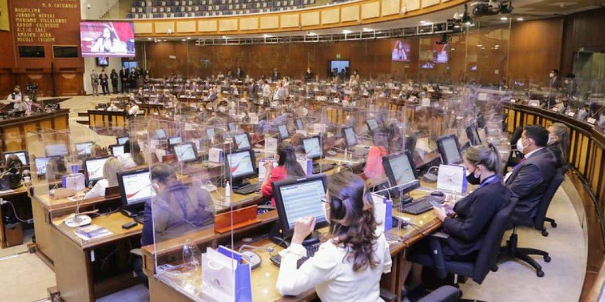 Asamblea abre segundo debate sobre ley de aborto por violación