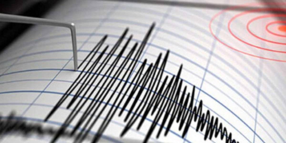 Un sismo de 6,5 grados sacudió a Colombia y varias zonas de Ecuador