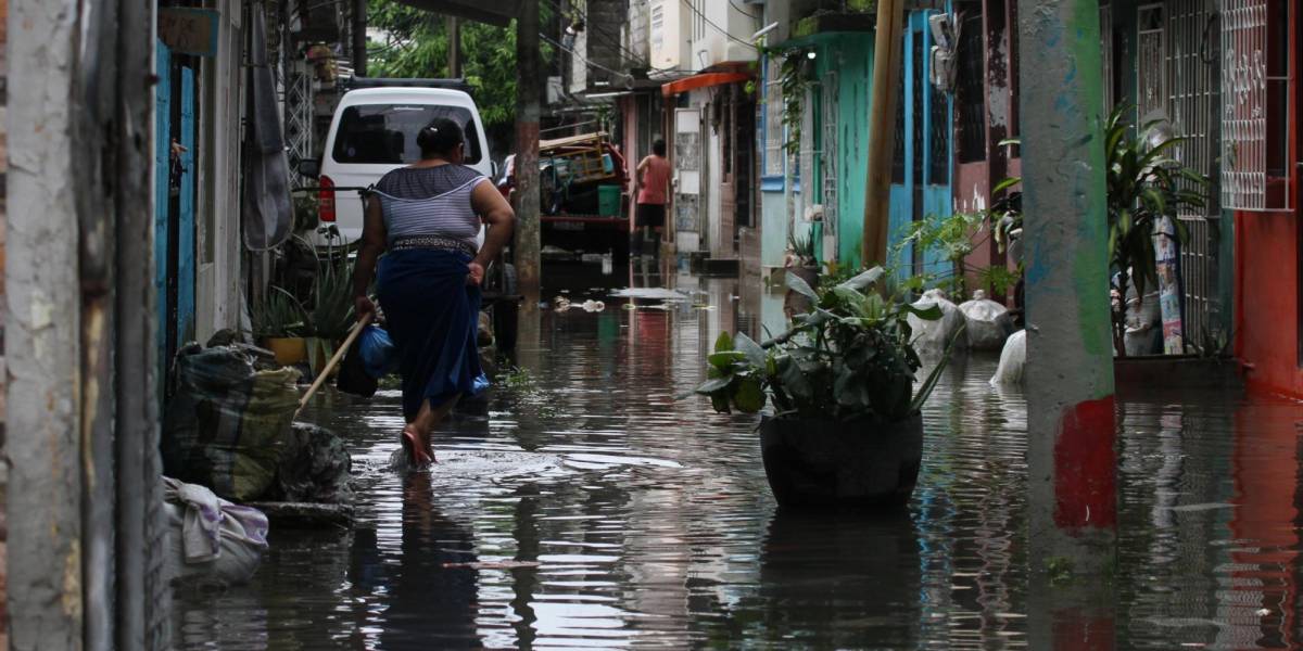Esta es la solución que proponen para evitar inundaciones en Guayaquil
