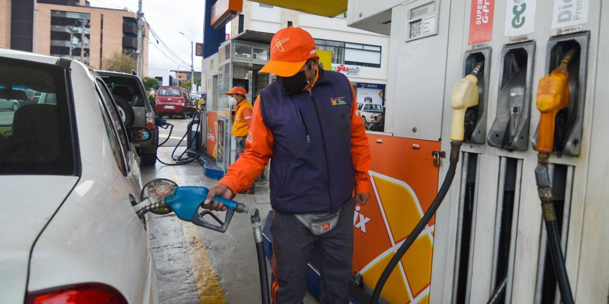 Estos son los precios de los combustibles, desde este 12 de noviembre