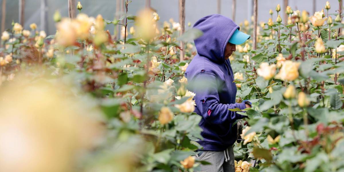 Los empresarios buscan que EE. UU. incluya a Ecuador en una lista para negociar acuerdo comercial