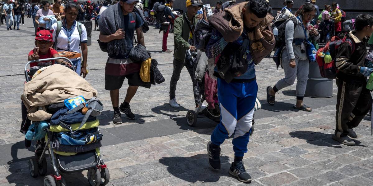 Concesión de asilo en la Unión Europeo aumentó 7 % en 2024, con venezolanos entre los más favorecidos