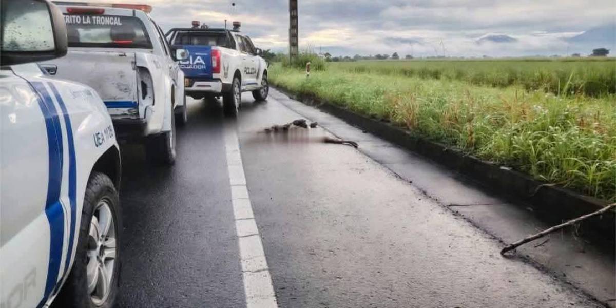 Un cuerpo decapitado fue hallado en La Troncal; pertenecería a víctima hallada el día anterior