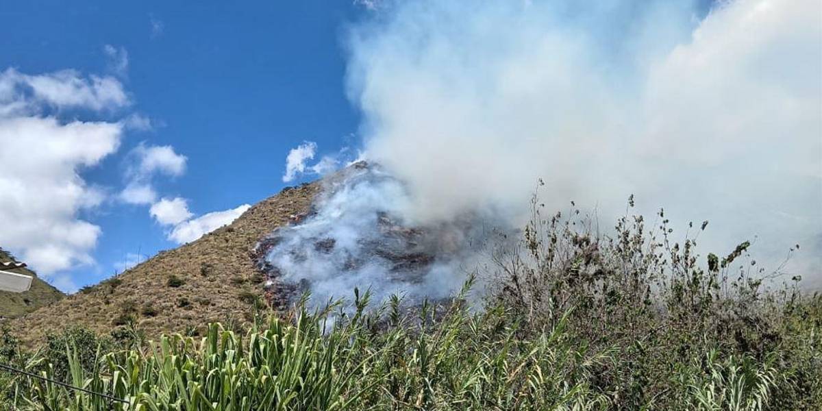 Quito | El incendio forestal en la parroquia de Guayllabamba fue controlado