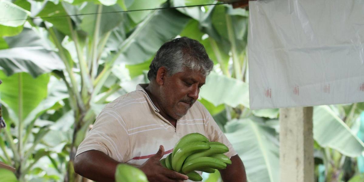Un fondo para la jubilación patronal, administrado por el IESS genera dudas: ¿hay otras alternativas?