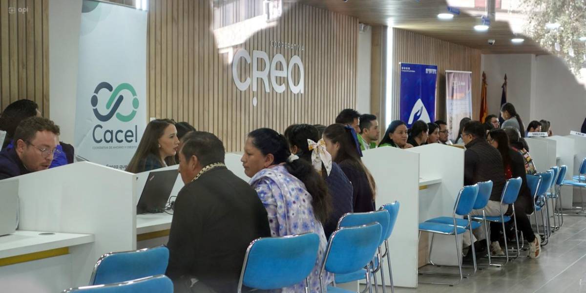 Caso CREA: desde el 29 de agosto depositantes podrán recuperar su dinero