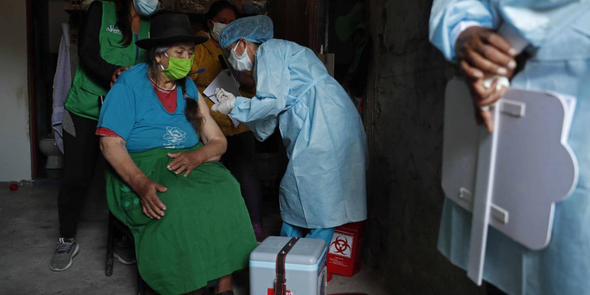 Covid-19: la OMS insta a fortalecer la supervisión de las nuevas variantes EG.5 y BA.2.86