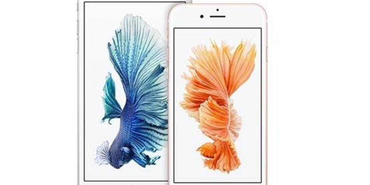 iPhone 6s y SE de primera generación podrán actualizar a iOS 15