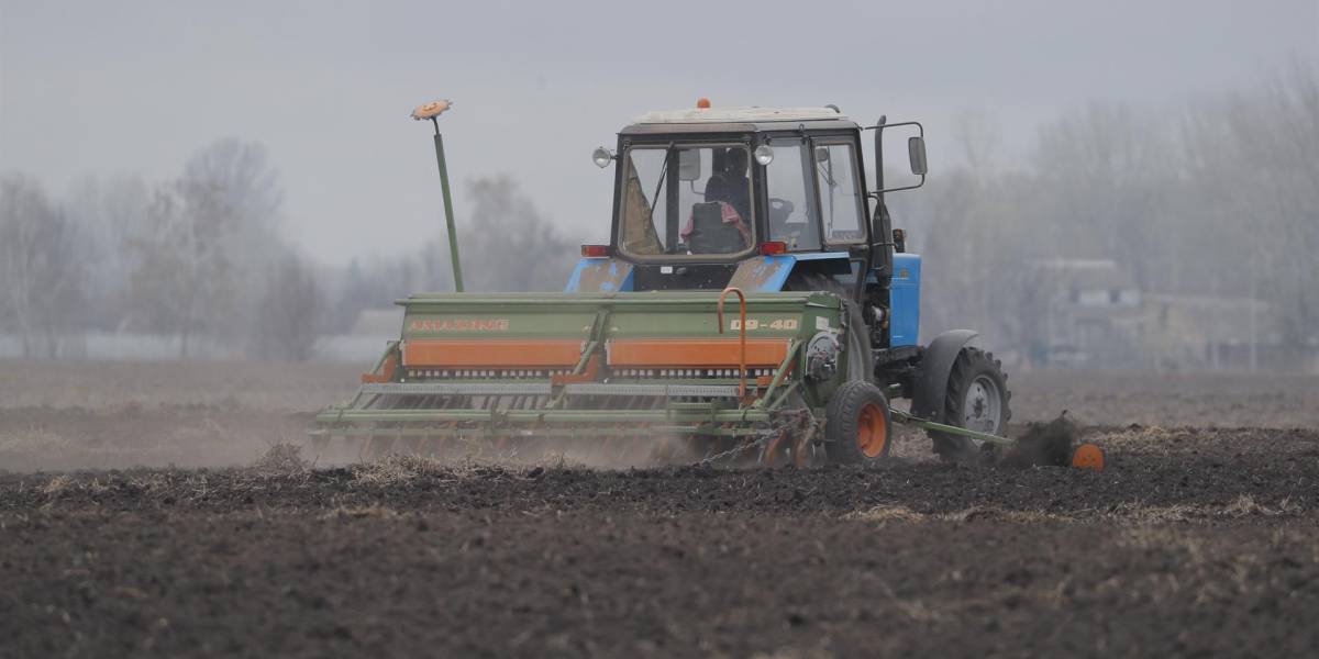 Ucrania sólo cosechará el 65% de lo normal, lo que provocará hambrunas