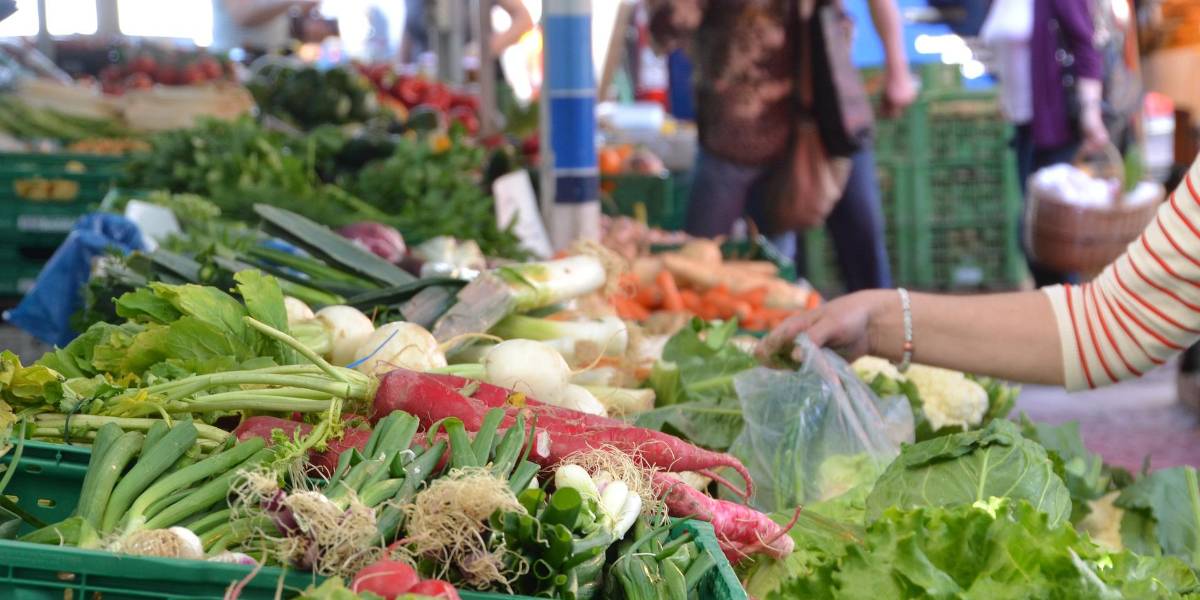 Hacer compras virtuales en el mercado ahora es posible en Ecuador con La Cosecha del Día
