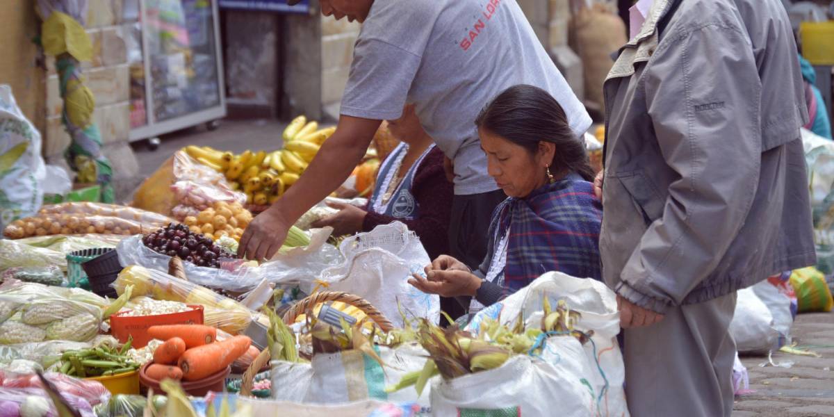 Cuenca y Manta son las ciudades con la canasta básica familiar más cara del país