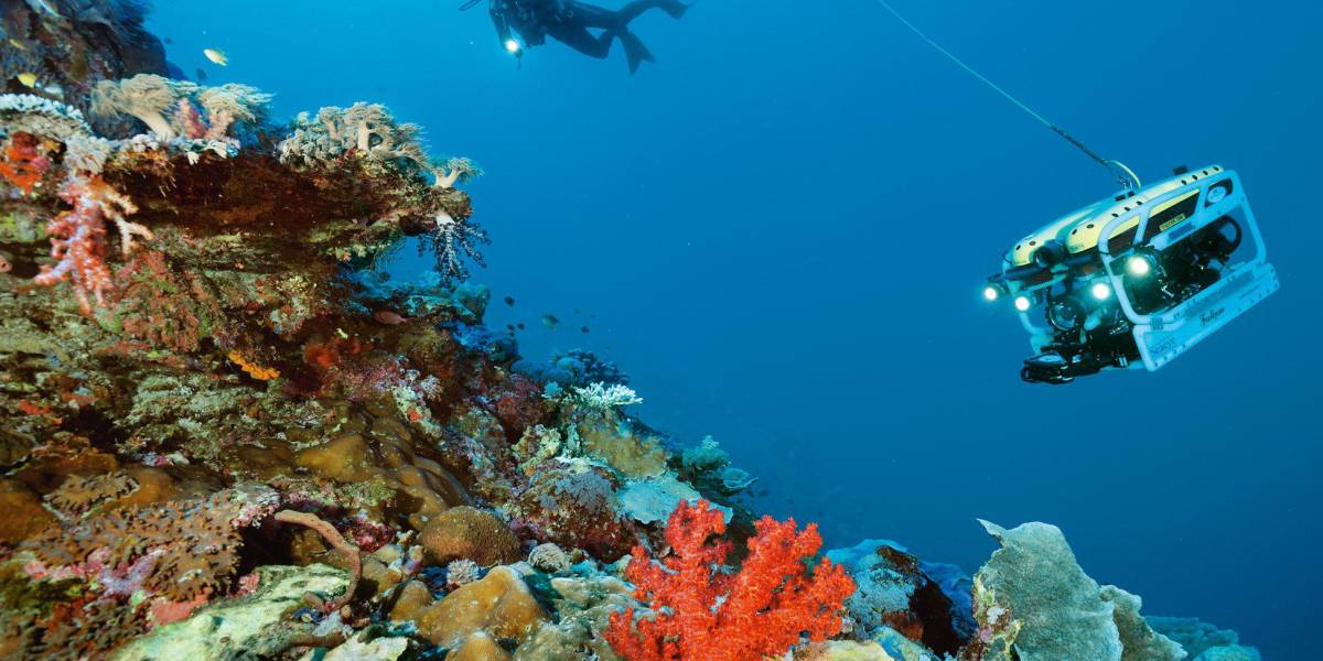 Científicos descubren una cadena montañosa submarina, ¿dónde y qué implica el hallazgo?
