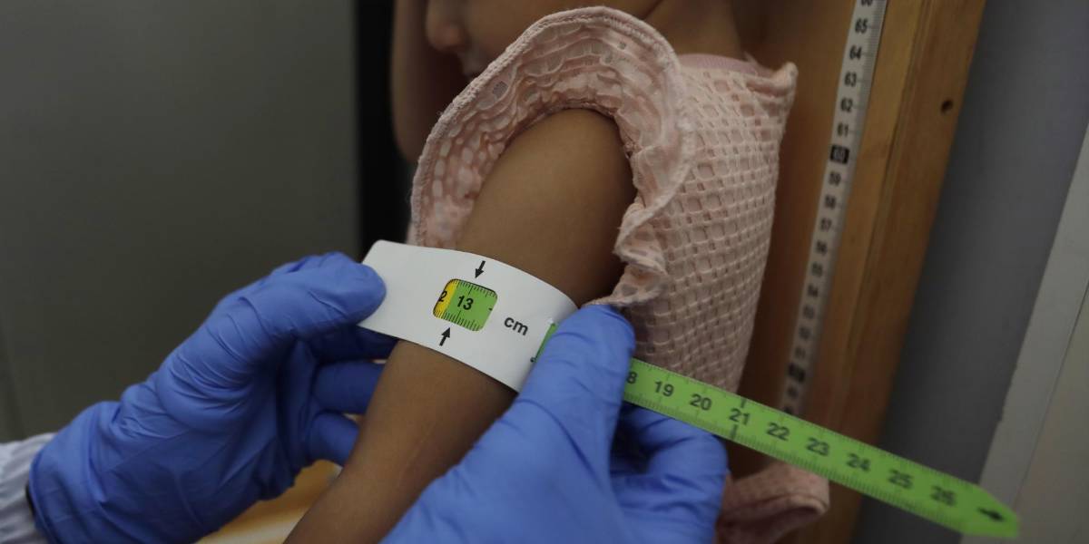 Uno de cada cuatro menores de 5 años en Ecuador no alcanza la talla esperada