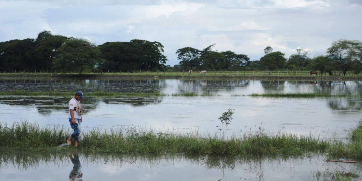 Más de mil hectáreas de cultivos han sido afectadas en todo el país por las lluvias