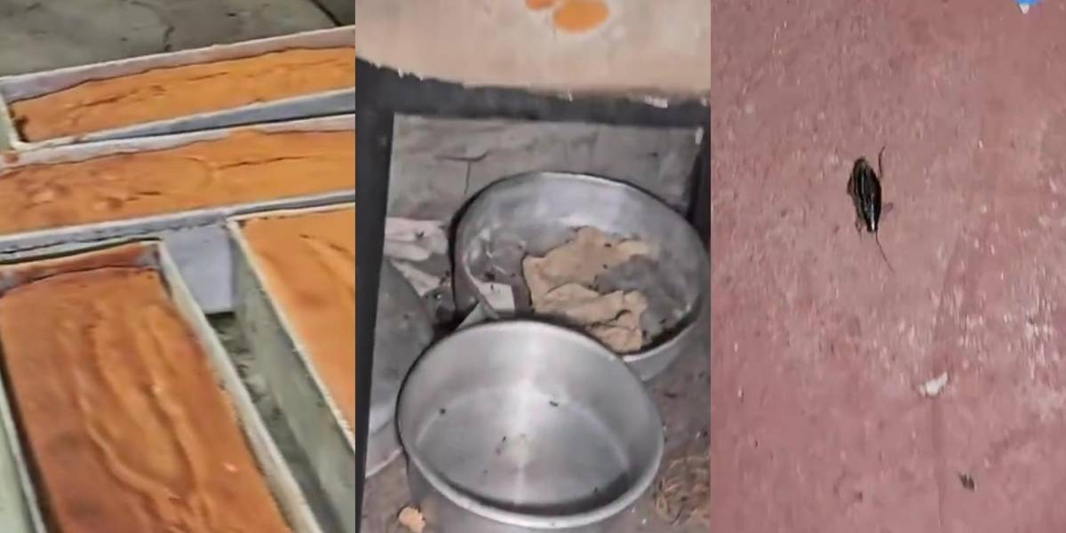 Arcsa clausuró una planta panificadora de Guayaquil por insalubridad y presencia de cucarachas