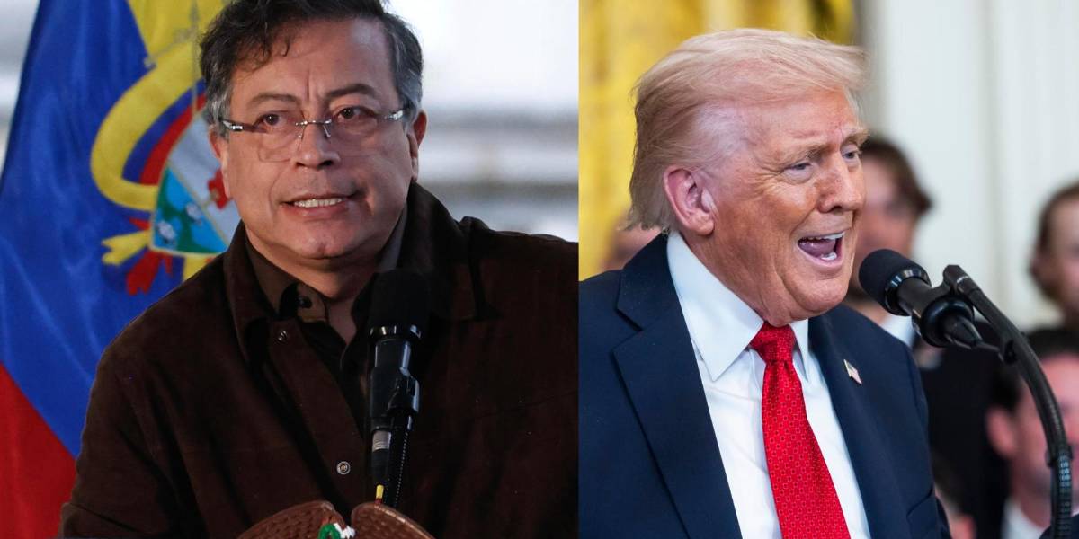 En qué consiste la estrecha alianza de EE.UU. y Colombia contra el narcotráfico y por qué la disputa Trump-Petro perjudica a ambos países