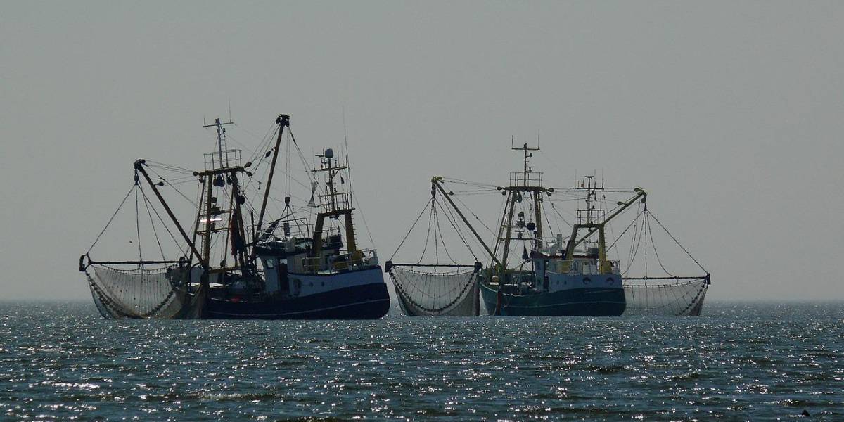 Un barco atunero ecuatoriano rescata a ocho náufragos daneses