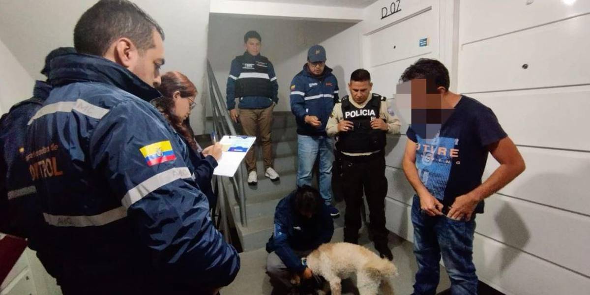 Quito | Un hombre golpeó a su mascota en frente de su hijo en Calderón