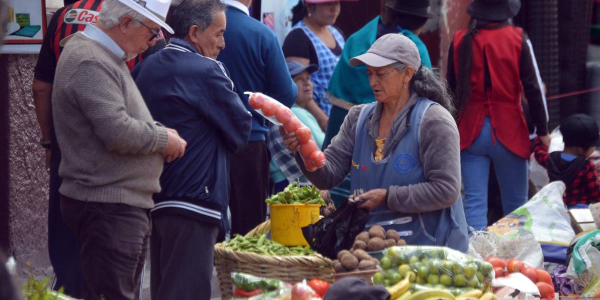 Un estudio revela que la eliminación del subsidio al diésel tendría un impacto mínimo en el precio de los productos