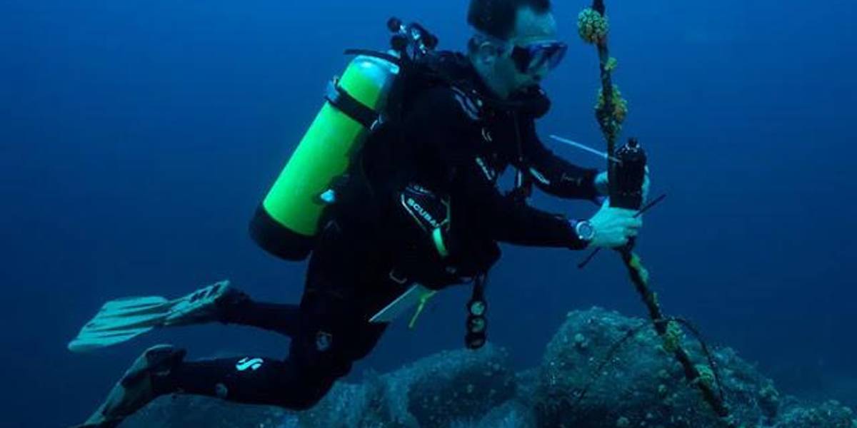 Científicos investigarán hábitats 'olvidados' de Galápagos