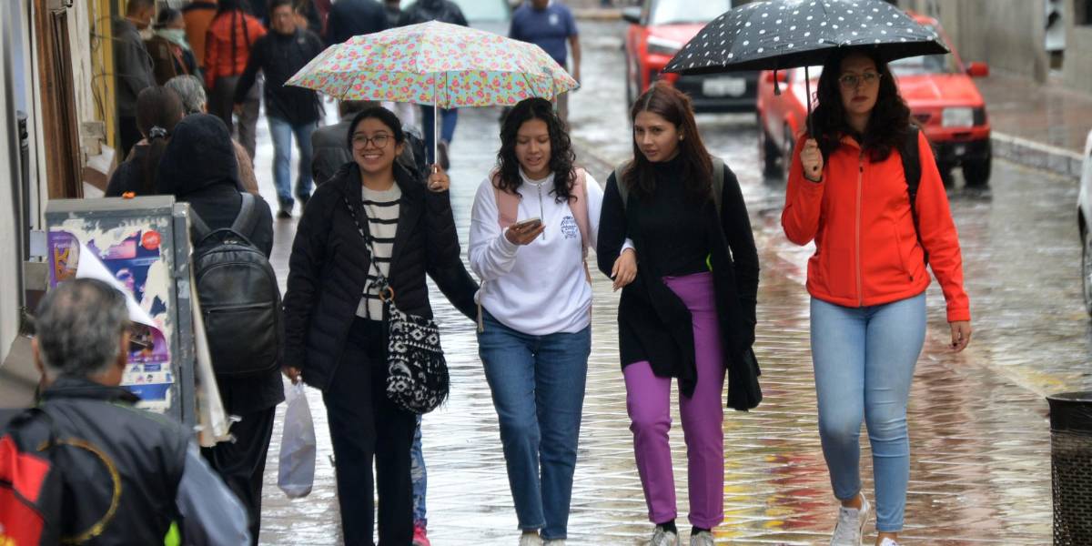 Lluvias, tormentas y viento es el pronóstico para este feriado: ¿a qué provincias afecta?