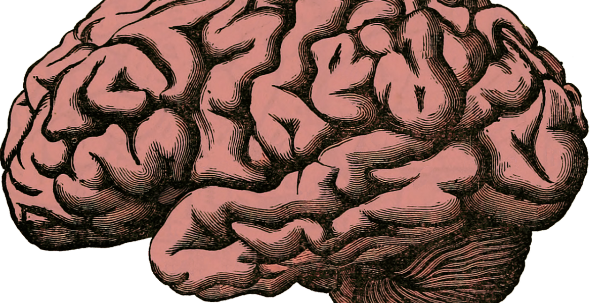 El COVID-19 se asocia con la aceleración de los síntomas del Alzheimer