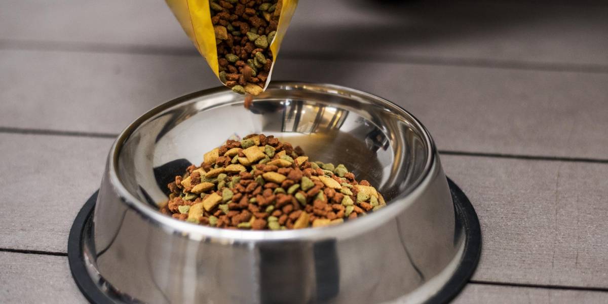 El IVA de alimentos para mascotas se elimina desde este 1 de febrero