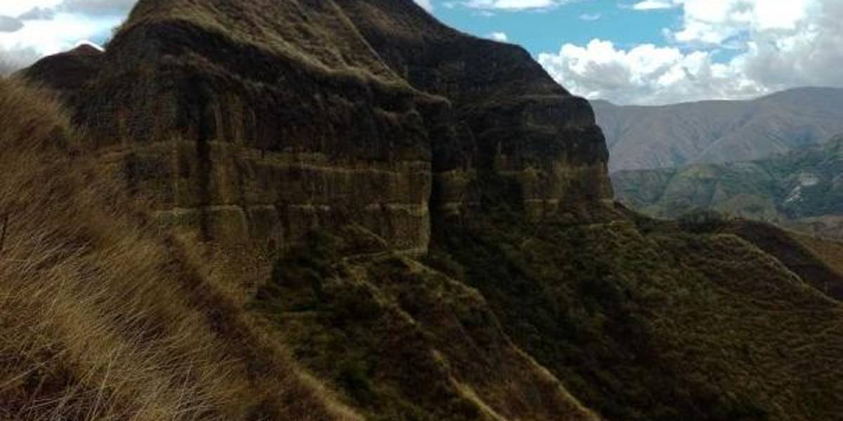 Así fue el rescate de un perro perdido durante 45 días en el cerro Mandango, en Loja